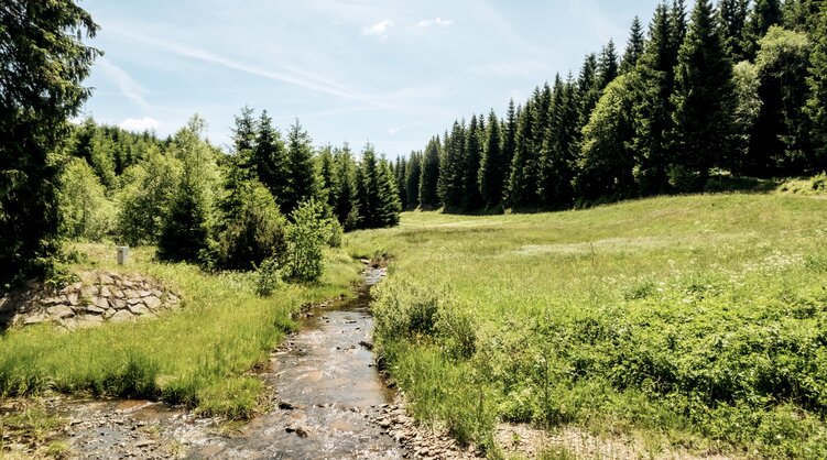 Pure landschaftliche Idylle am Kammweg in Sachsen.