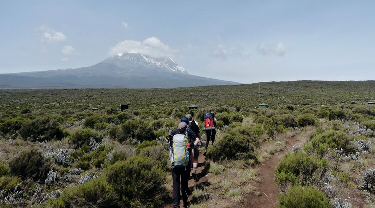 Wanderer auf der Lemosho Route in Tansania
