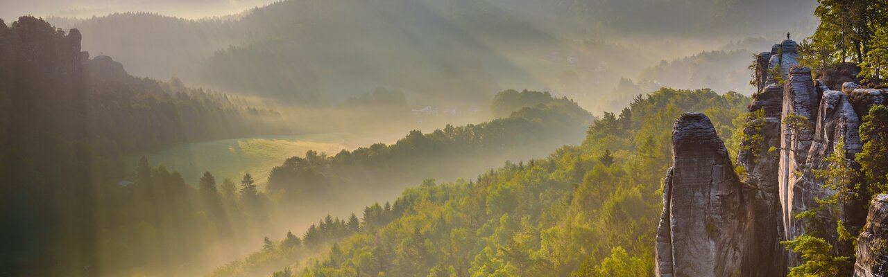 nebelverhangene Landschaft des Elbsandsteingebirges in der Sächsischen Schweiz