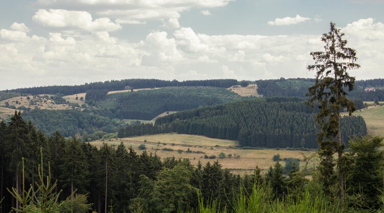 Bad Berleburg am Rothaarsteig, Deutschland