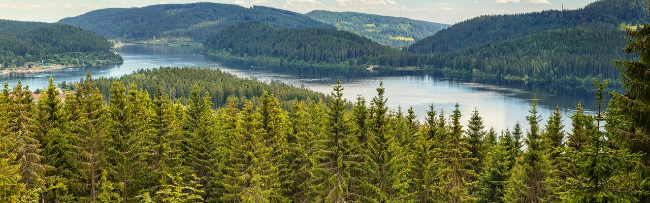 schluchtensteig-schwarzwald-schluchtensee