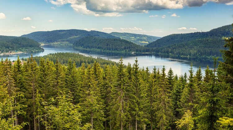 schluchtensteig-schwarzwald-schluchtensee