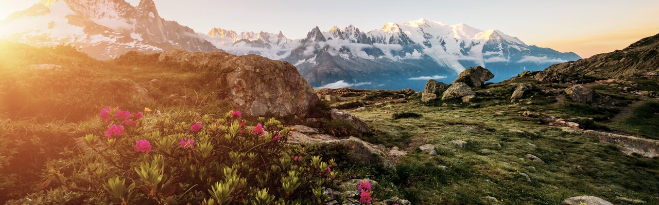 Atemberaubende Ausblicke auf dem Fernwanderweg Tour du Mont Blanc.