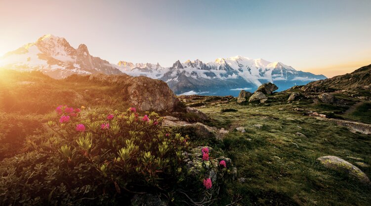 Atemberaubende Ausblicke auf dem Fernwanderweg Tour du Mont Blanc.