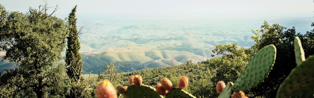 Aussicht von Picota auf die Serra de Monchique