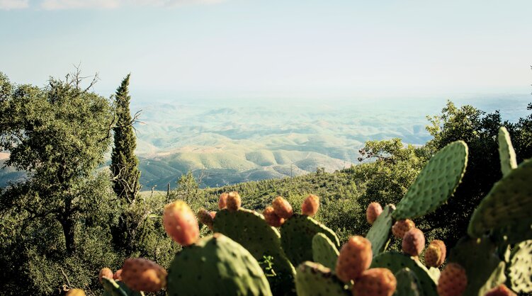 Aussicht von Picota auf die Serra de Monchique