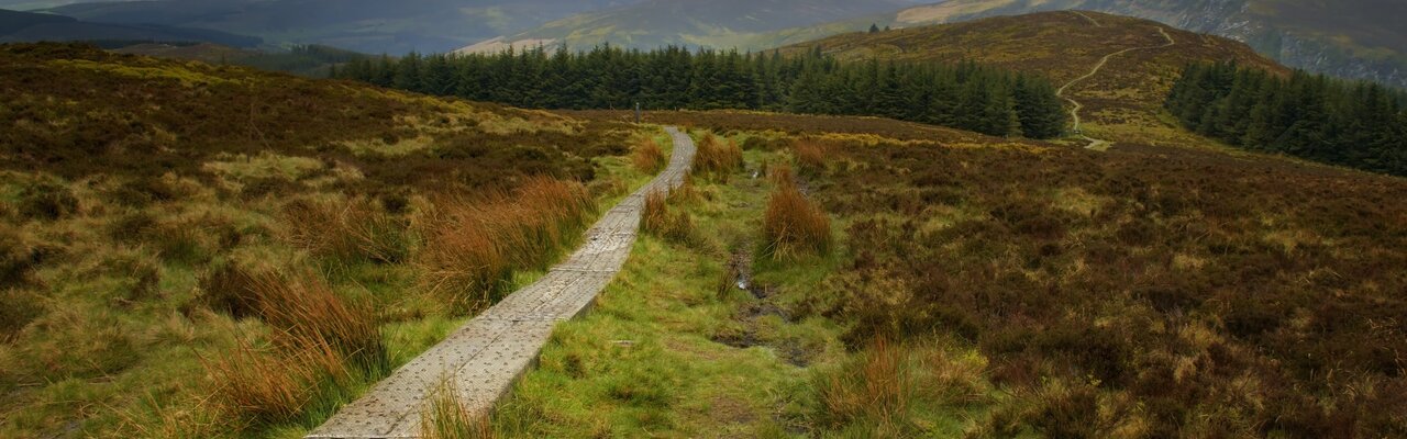 wicklow-way-holzsteg-durch-moorlandschaft