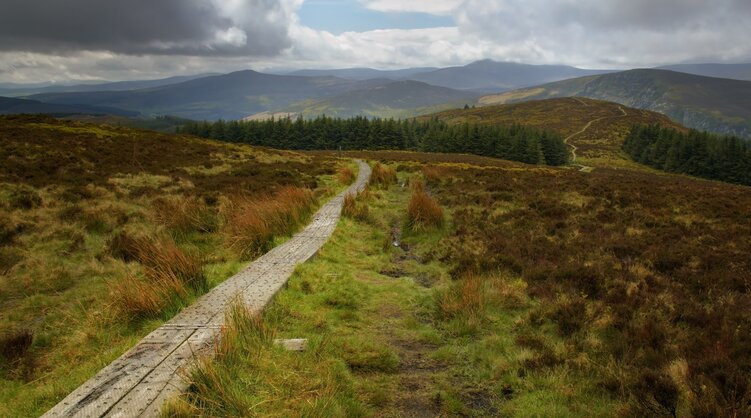 wicklow-way-holzsteg-durch-moorlandschaft