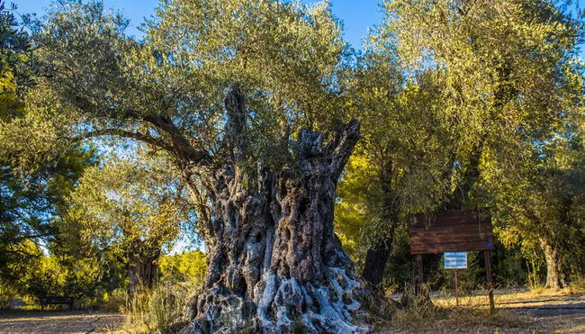 Nordzypern - Kleinod am Rande Europas