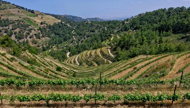 Zypern – Troodos-Gebirge und Mittelmeer
