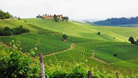 Piemont – Langhe: Trekking durch die Weinberge