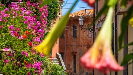 Elba – Große Inselüberquerung auf dem GTE