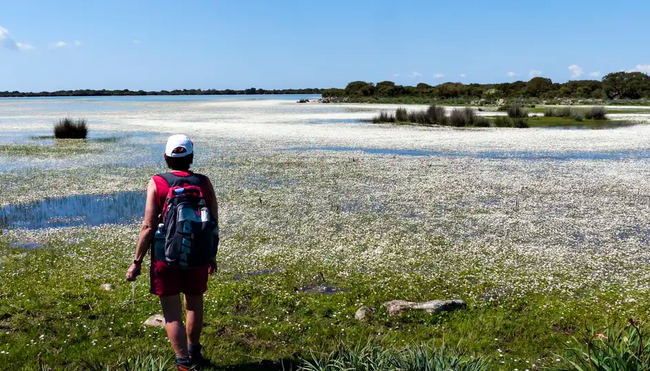 Sardinien – Zu Fuß auf alten Hirtenpfaden