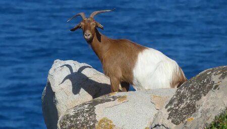 Sardinien – Unbekannte Wanderpfade im Süden