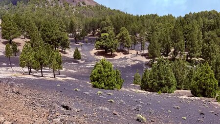 La Palma - La Isla Bonita