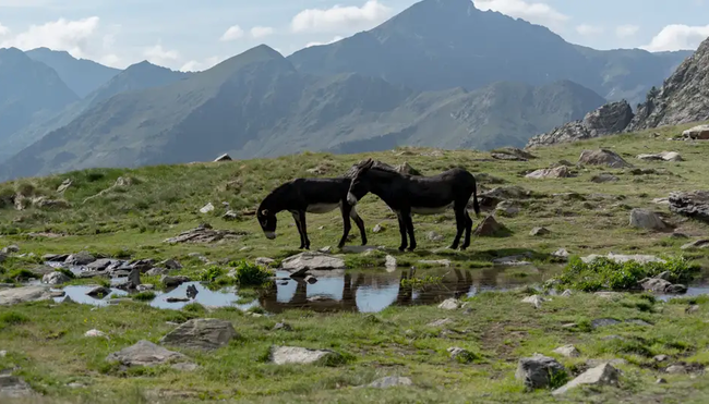 Andorra – Wanderoase der Pyrenäen