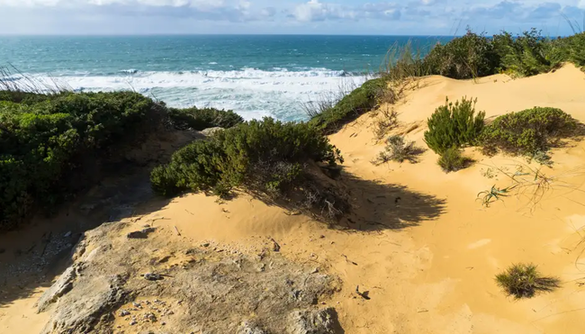Portugal - Fischerpfade und Atlantikbrise (Selfguided)