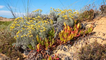 Portugal - Fischerpfade und Atlantikbrise (Selfguided)