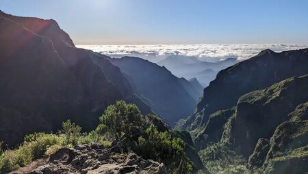 Madeira - Levadas, Lorbeer, Lavafelsen
