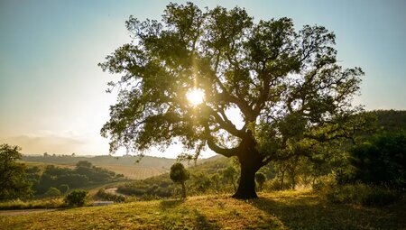 Portugal – Entlang der Costa Vicentina zur Algarve