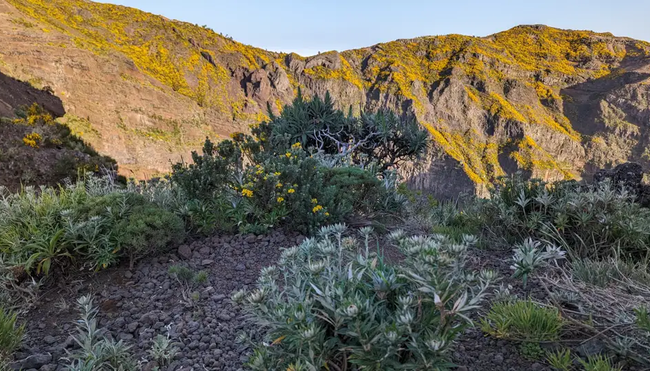 Madeira – Wilde Bergwelt des Zentralmassivs