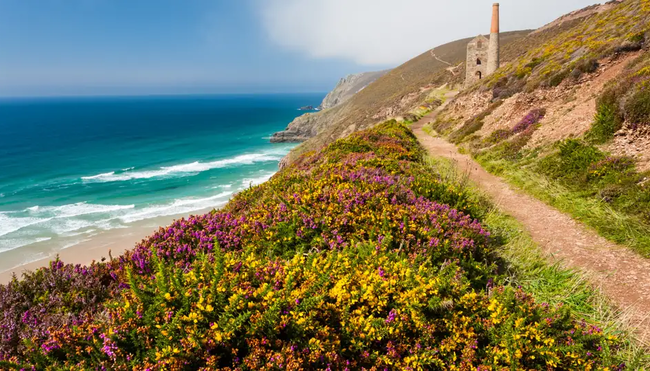 Cornwall - Klippen, Buchten, Meeresrauschen (Selfguided)