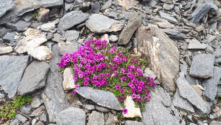 Alpenüberquerung – Watzmann – Drei Zinnen: Der Geheimtipp