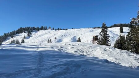 Österreich – Schneeschuhwandern in der Wildschönau
