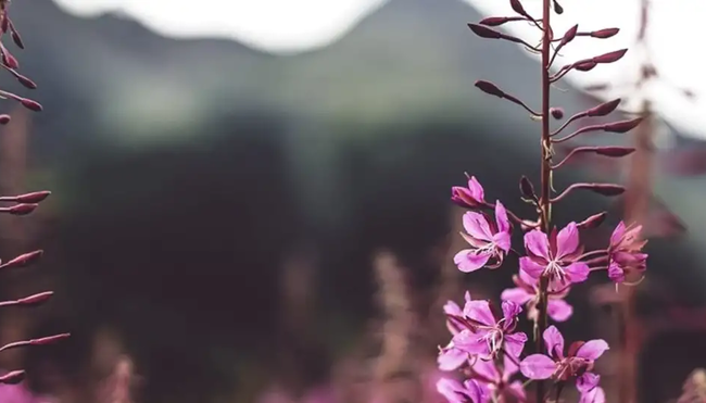 Slowakei - Großer Trek durch das kleinste Hochgebirge der Welt (Selfguided)