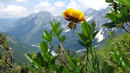Albanien – Wandern in den Albanischen Alpen