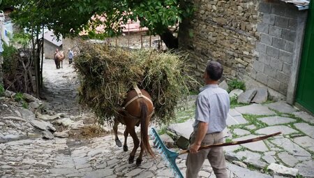 Albanien – High Scardus Trail