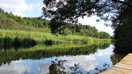 Polen – Masuren & Bialowieza-Nationalpark