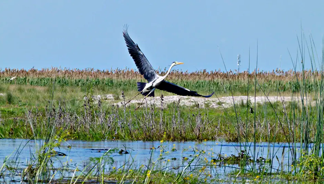 Rumänien – Aktiv durch Donaudelta und Siebenbürgen