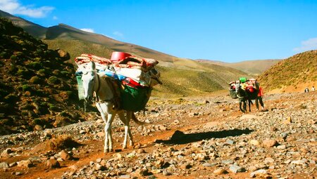 Marokko – Überschreitung des Djebel Mgoun, 4068 m