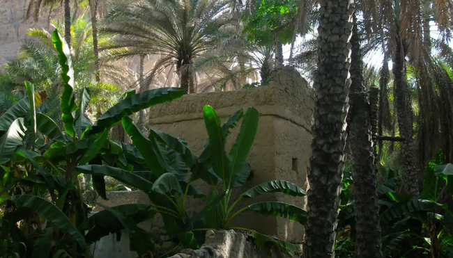 Oman - Berge, Wüste und Fjordlandschaften