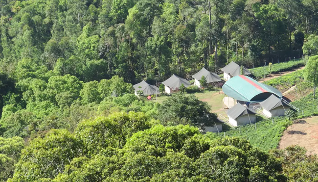 Indien - Geheimnisvolles Bergland von Kerala