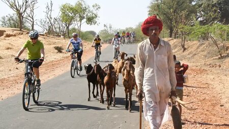 Indien – MTB Reise durch Rajasthan zum Taj Mahal