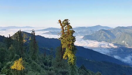 Bhutan, Nepal – Trekking & Klosterfest im Himalaya