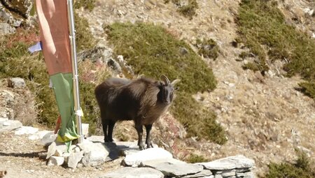 Nepal – Höhepunkte der Everest-Region