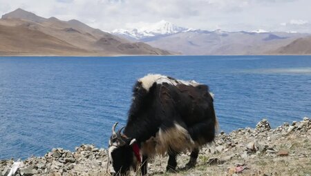 Tibet - Im Angesicht des heiligen Kailash