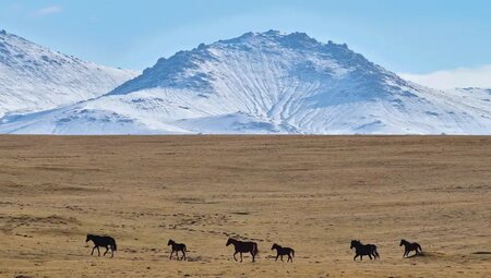 Usbekistan, Kirgistan – Kultur und Wandern in Zentralasien