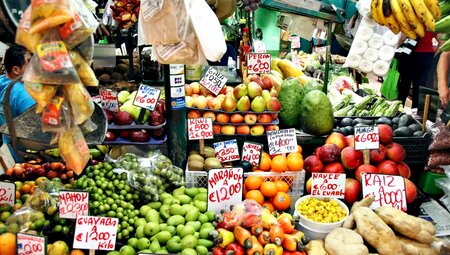 MTB Costa Rica - Pura Vida, Vulkane und Urwald
