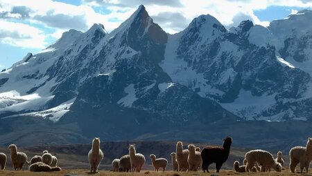 Peru – Lodge Trekking um den Apu Ausangate