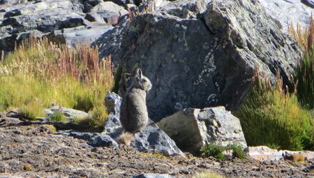 Peru, Bolivien – Legendäre Inka-Stätten & Cordillera Real