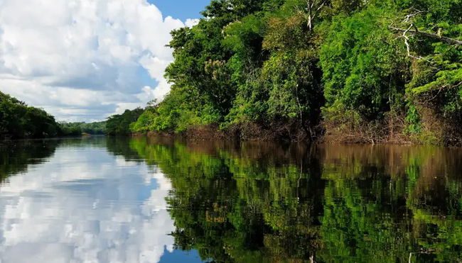 Brasilien – Amazonas zu Fuß entdecken