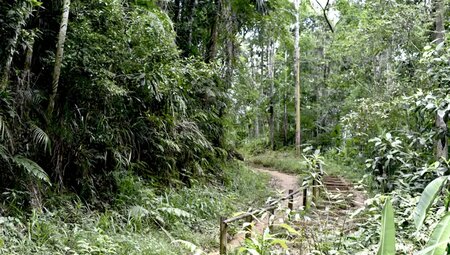 Brasilien – Küstentrekking & Chapada Diamantina