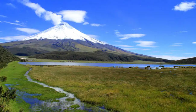 Ecuador – Andenhochland, Amazonas & Galapagos