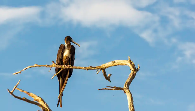 Ecuador - Galapagos - Verzauberte Inseln