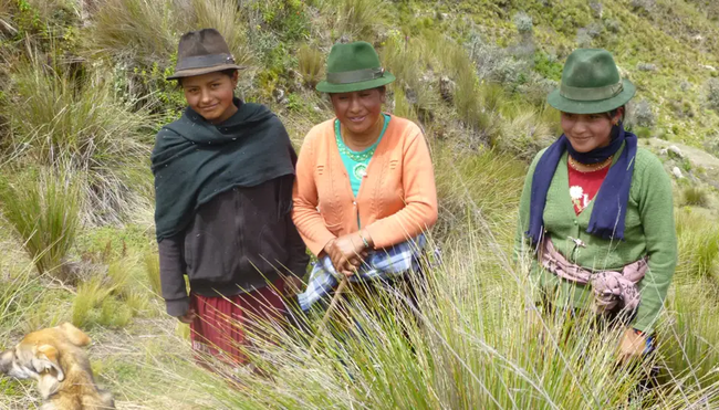 Ecuador – Humboldts Straße der Vulkane