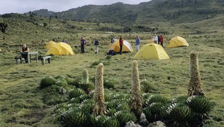 Kenia – Trekking Mount Kenya & Safari Masai Mara